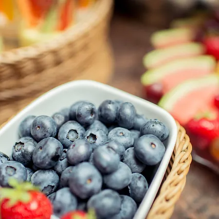 Wegner - T H E Culinary Art Hotell Langenhagen (Hannover)